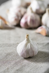 Garlic on fabric. Rustic style
