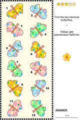 Spring or summer themed visual puzzle: Find the two identical butterflies. Answer included.
