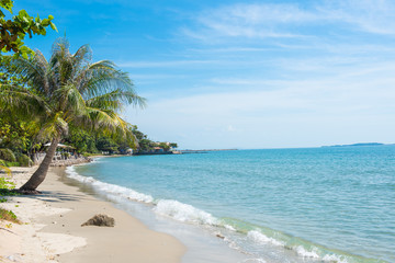 Palm and tropical beach in Thailand.