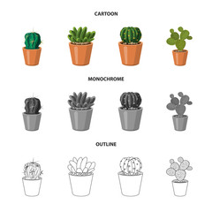 Vector design of cactus and pot logo. Collection of cactus and cacti stock vector illustration.