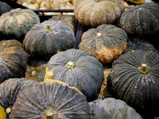 Pumpkin for cooking