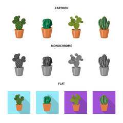 Vector design of cactus and pot icon. Collection of cactus and cacti stock vector illustration.