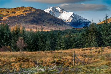 Ben Lui from Dalrigh