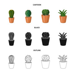 Isolated object of cactus and pot icon. Collection of cactus and cacti vector icon for stock.