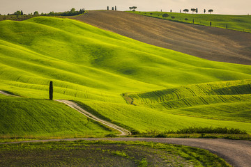 Tuscany spring landscape italian green fields
