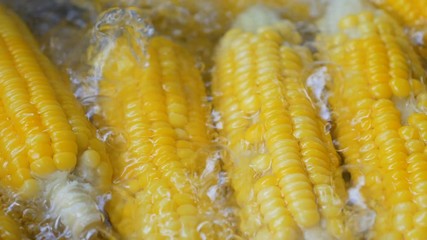 Yellow corn boiled in a pot