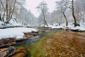 Landscape with river in the winter