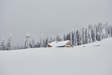 House covered in snow