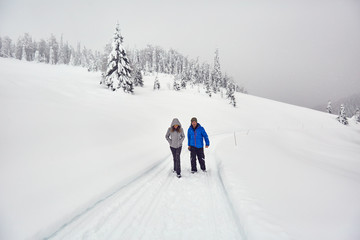 Fototapeta na wymiar Friends hiking on a snowy trail