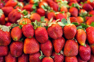 Fresh, organic,hand picked ripe strawberries for sale at farm market