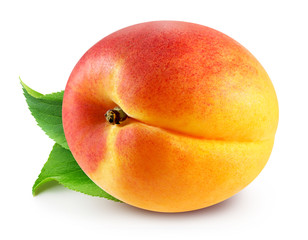 Apricot isolated Clipping Path