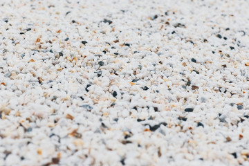White gravel abstract texture background