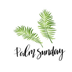 Green Palm leafs vector icon. Palm Sunday text handwritten font.