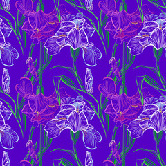 Iris flowers seamless pattern flowered background of botany texture