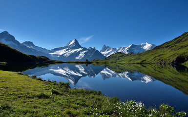 Obraz na płótnie Canvas Panoramablick mit dem Bachalpsee und Berner Alpen