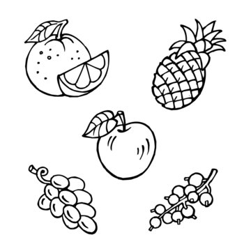 fruit set, apple, pineapple, orange, grapes, currant, black and white clipart