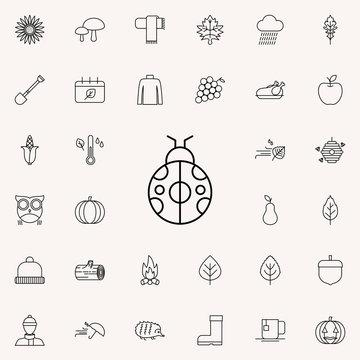 ladybug icon. autumn icons universal set for web and mobile