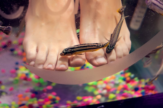 Fish spa pedicure wellness skin care treatment - Spa, beauty, people and body care concept