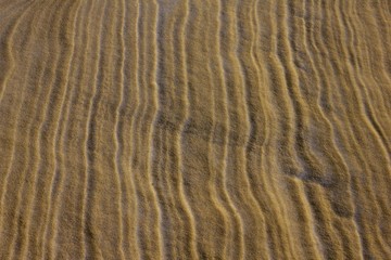 Sand ridges, texture.