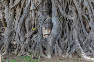Fototapeta na wymiar Temple Ayutthaya en Thailande, Wat Phra Maha that
