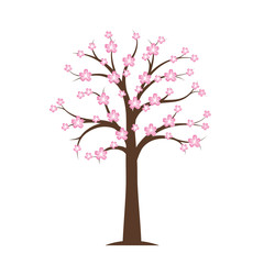 pink blooming cherry tree in spring on white background vector illustration EPS10
