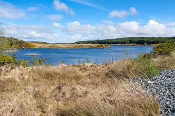 waterside scenery in Connemara