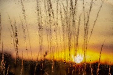 Water droplets on a window pane with beautiful defocused scenery outside.
