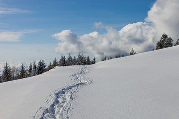 Winterwanderung_3891