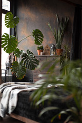 loft style dark bedroom with green plants and textured wall © barshkiper