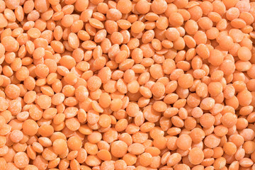 Close-up shot of a pile of red lentils