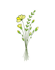 Fototapeta na wymiar Flower. Hand drawn bouquet of wildflowers. Light and delicate illustration
