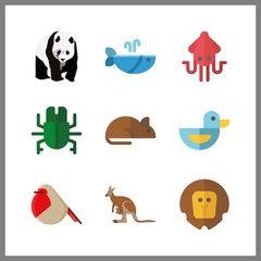 9 wildlife icon. Vector illustration wildlife set. whale and rat icons for wildlife works