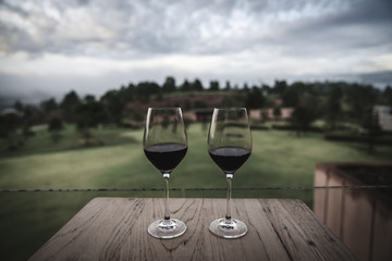 Drinking wine at beautiful garden outdoor sky mountains scenery views 