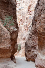 The Siq in Petra, Jordan

