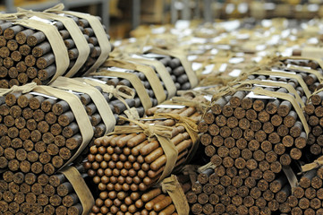 Cigars, Cigar factory, Dominican Republic