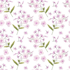 Seamless pattern with delicate watercolor flowers. Hand painted phloxes ideal for card making, wedding invitation or wrapping paper design