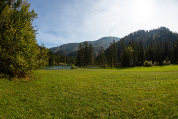 Sommer landscape at the Schiederweiher in austria