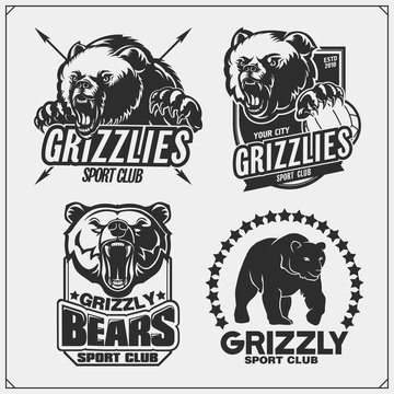 Labels, emblems and design elements for sport club with grizzly bear. Print design for t-shirts.