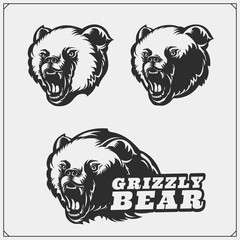 Grizzly bear silhouettes and illustrations. Labels, emblems and design elements for sport club with grizzly bear. Print design for t-shirts.