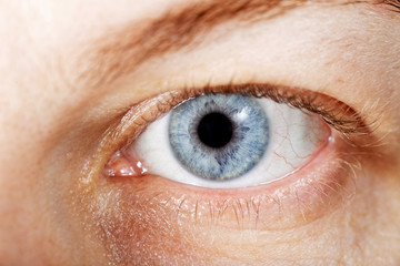 Macro image of human eye