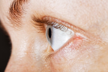 Naklejka premium Obraz profilu makro ludzkiego oka