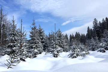 Landschaft mit jeder Menge Schnee