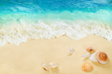 Fototapeta na wymiar Shells on the beach. Splashing waves on the seashore. Tropical sea.