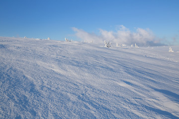 Morning mood short after sunrise in Krkonose in winter (Poland, Czech Republic)