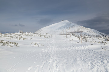 Fototapeta na wymiar Peak of the Snezka mountain in winter (Krkonose)