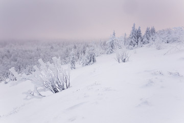 Obraz premium Foggy winter landscape in Germany in the morning