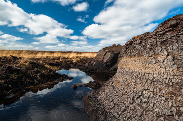 Fototapeta na wymiar Irish peat bog landscape