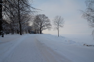 Fototapeta na wymiar Peterhof, fountains and park in winter