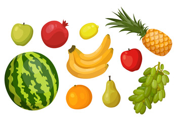 Fruits. Banana, watermelon, apple, pear, grape
