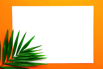 Fototapeta na wymiar Blank piece of paper on big green leaf of parlor palm golden orange gradient table background. Empty notebook sheet on branch of tropical plant. Top view, close up, copy space, flat lay.